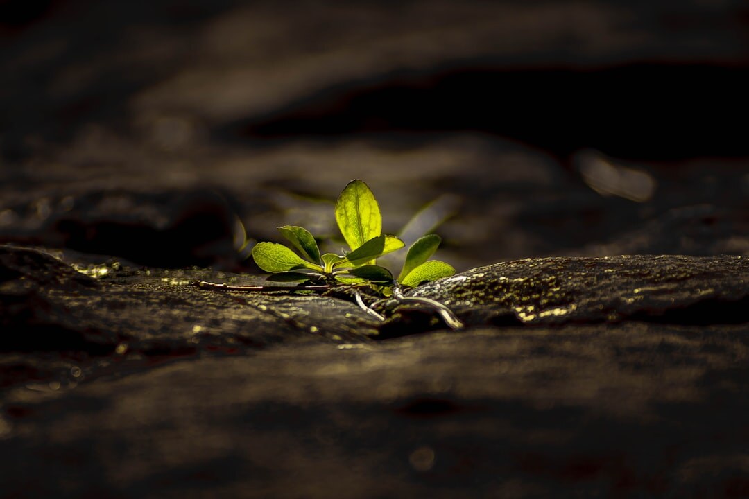 investing in personal growth