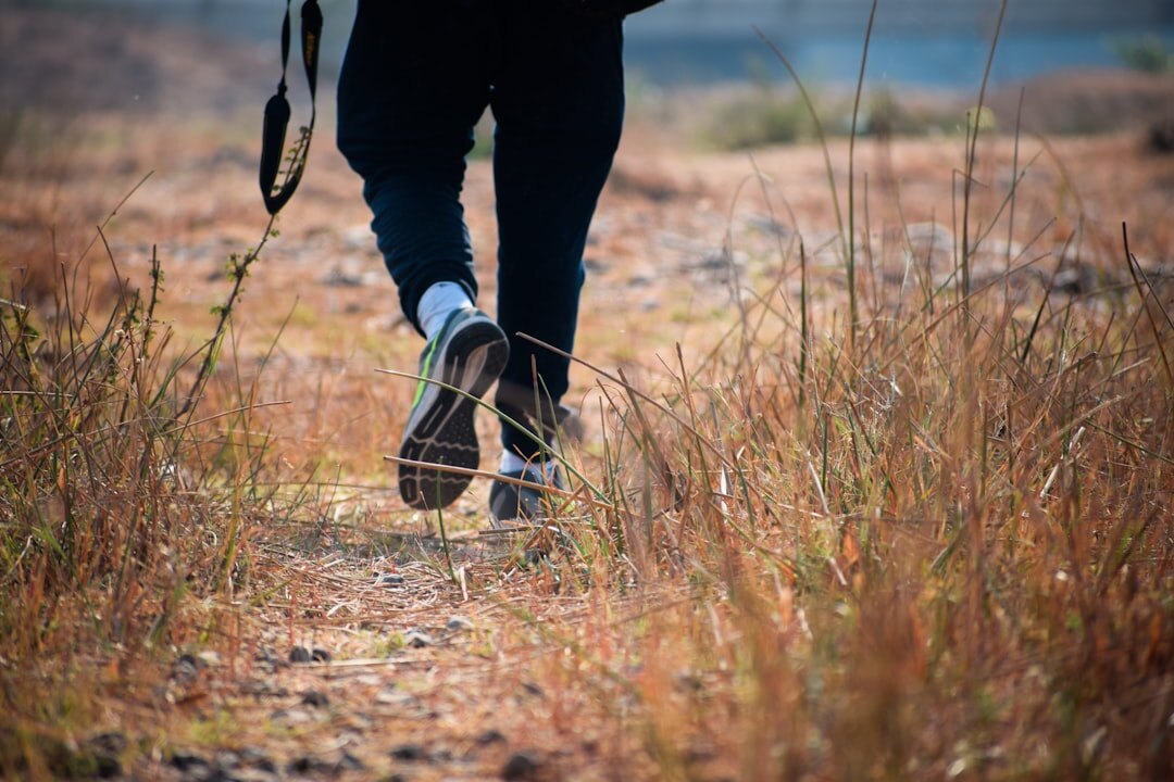 person walking on path outdoors