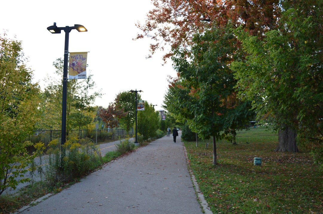 person walking on path outdoors